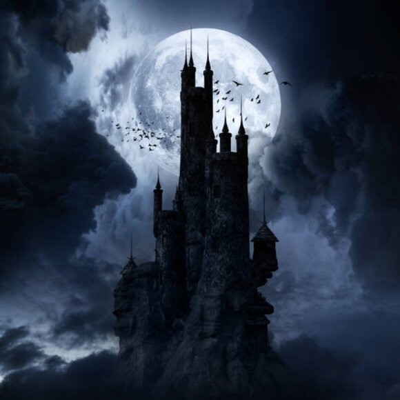 Meet your Posher, Jim - Picture 1 of 1